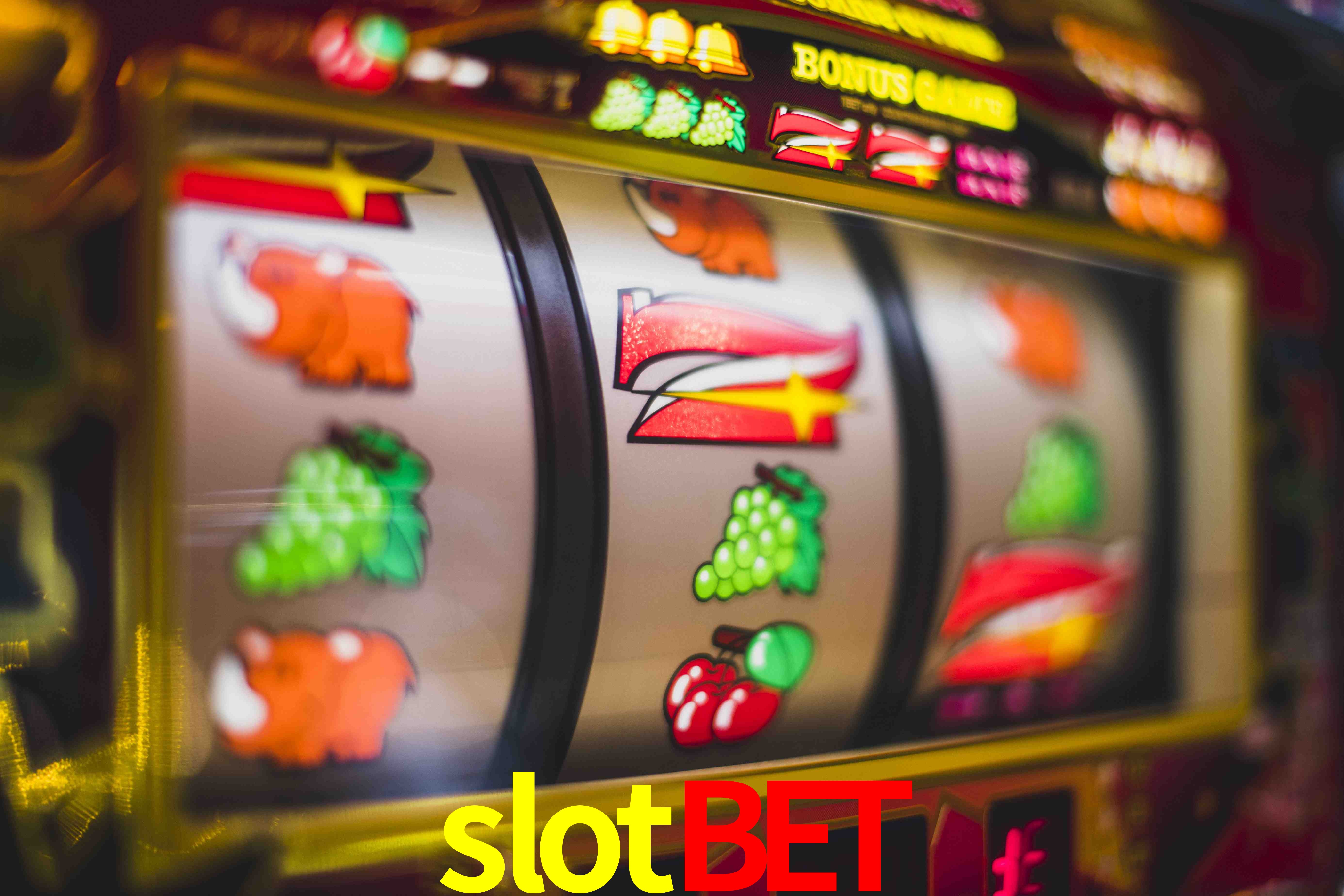 Experiência VIP slotbet